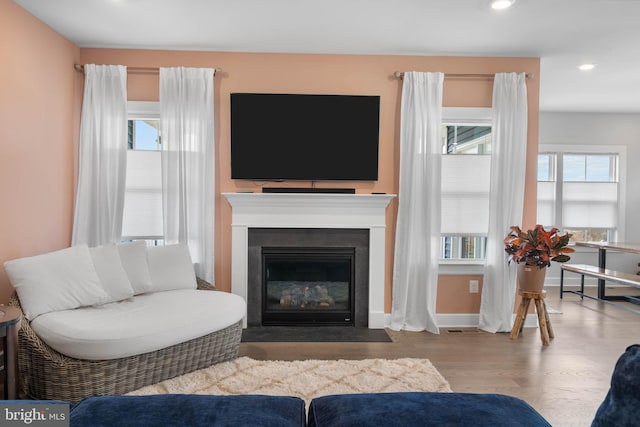 living room with hardwood / wood-style floors