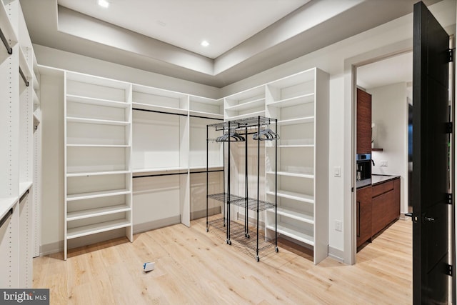 spacious closet with light hardwood / wood-style flooring