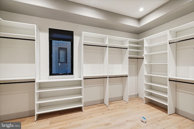 spacious closet featuring light hardwood / wood-style flooring