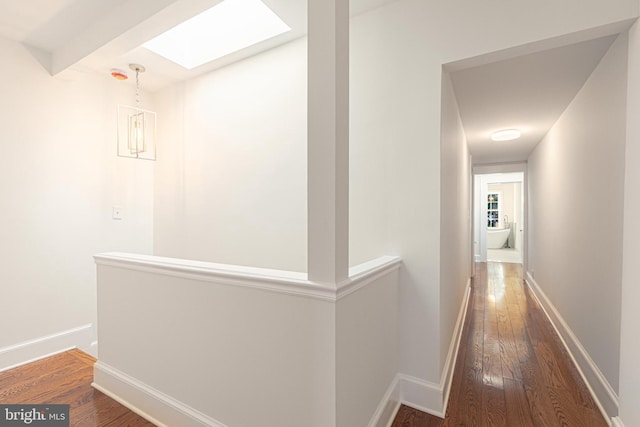 corridor featuring a skylight and dark wood-type flooring