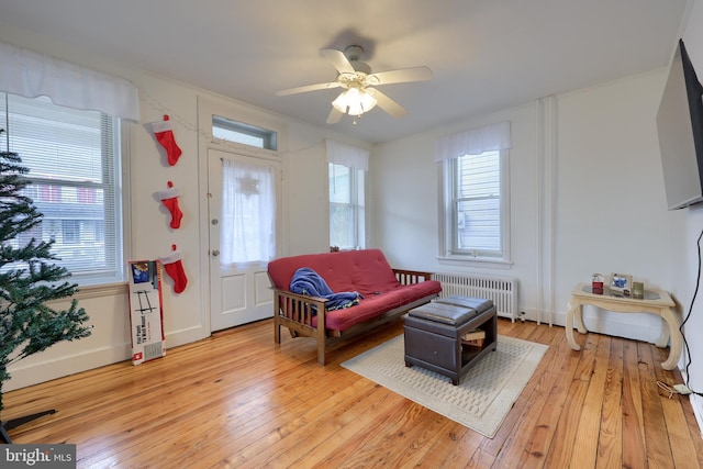 living room featuring ceiling fan, radiator, and light hardwood / wood-style flooring