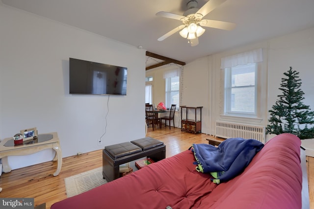 living room featuring a wealth of natural light, radiator, and light hardwood / wood-style flooring