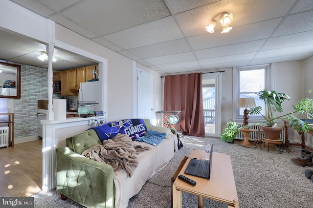 carpeted living room with a paneled ceiling and radiator heating unit