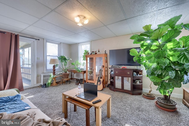 living room featuring a drop ceiling, radiator heating unit, and carpet floors