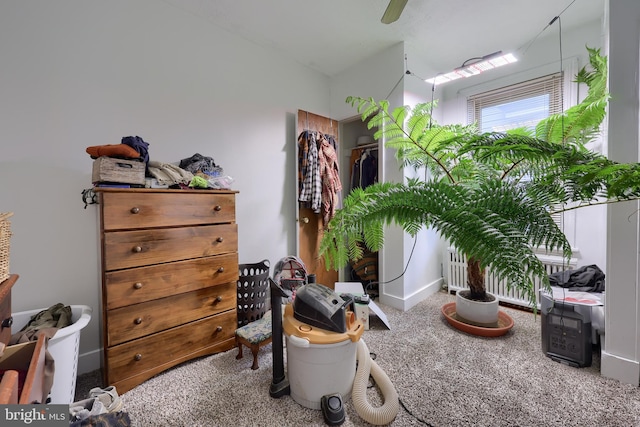 interior space featuring carpet flooring