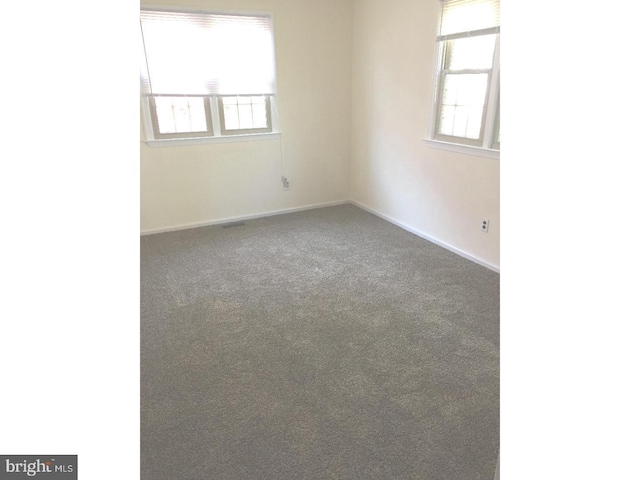 unfurnished room featuring a healthy amount of sunlight and carpet floors