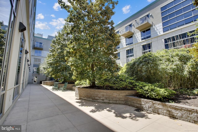 view of community with a patio area