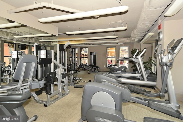 workout area with light carpet