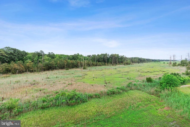 view of nature with a rural view