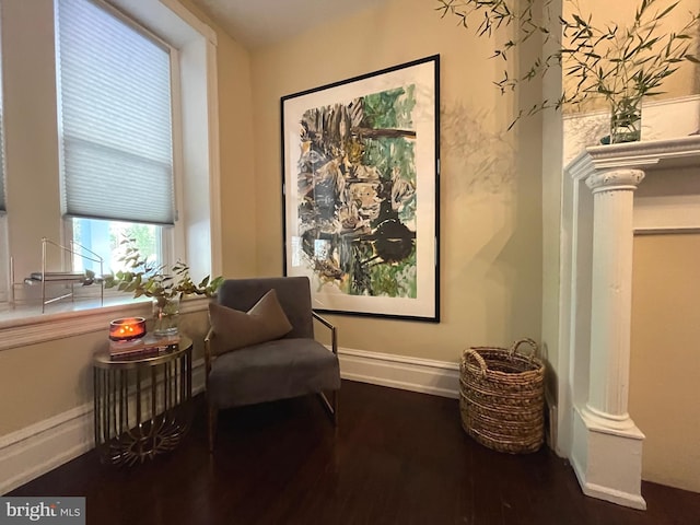 living area with dark hardwood / wood-style flooring