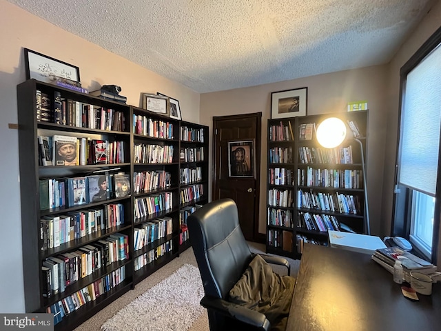 sitting room with carpet and a textured ceiling