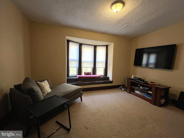 living area with carpet and a textured ceiling