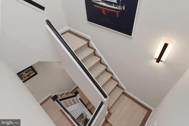 staircase with carpet flooring