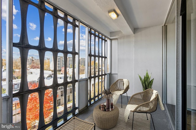 1301 Delaware Ave SW Unit N523, Washington, DC 20024 - view of sunroom