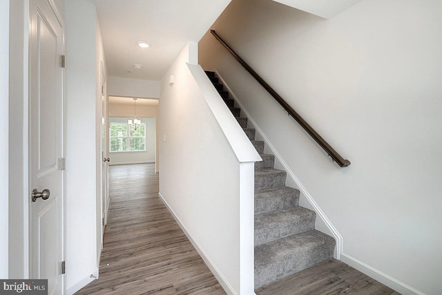 stairs featuring wood-type flooring