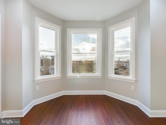 interior space featuring dark hardwood / wood-style flooring