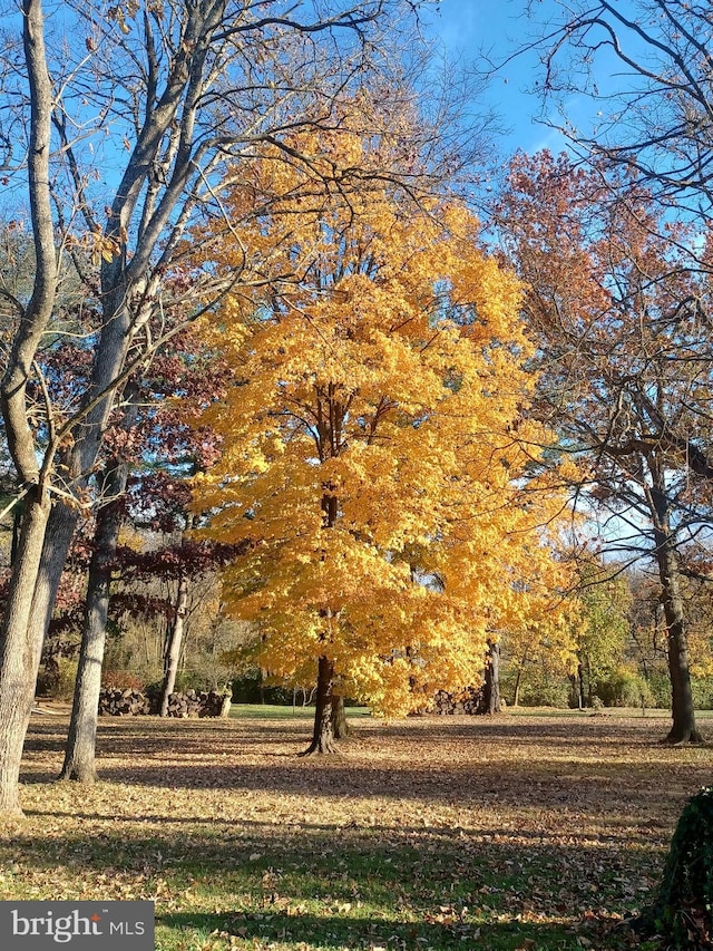 view of home's community