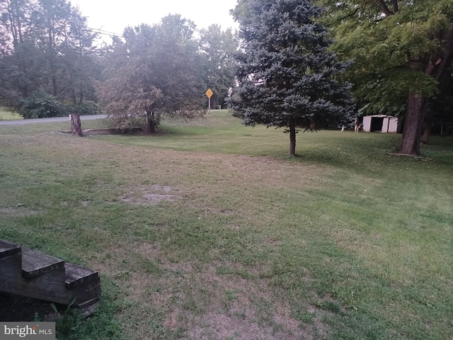 view of yard featuring a storage unit