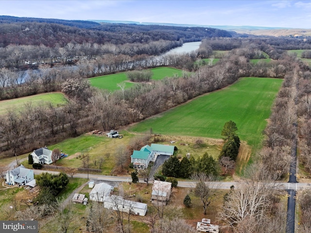 bird's eye view