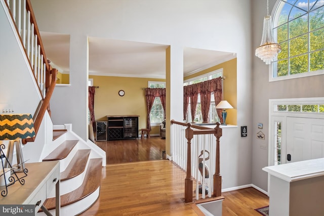 foyer entrance featuring a high ceiling, wood finished floors, and a healthy amount of sunlight