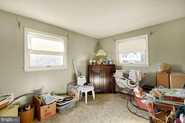 misc room featuring light colored carpet and a healthy amount of sunlight