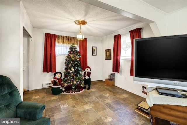 sitting room featuring ornamental molding, a textured ceiling, and a baseboard heating unit