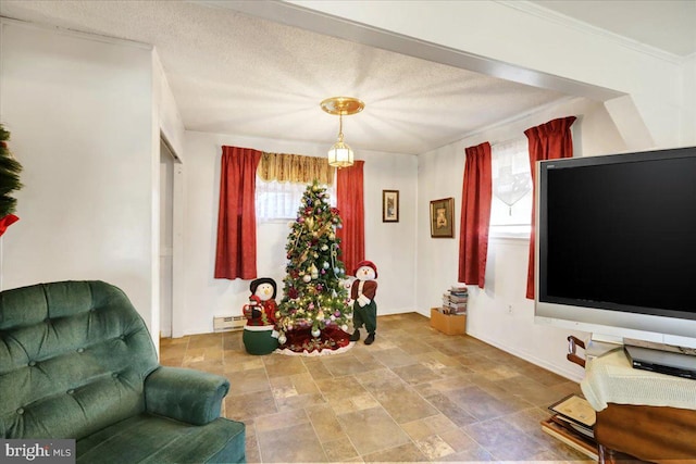 sitting room with a textured ceiling, a baseboard radiator, and crown molding