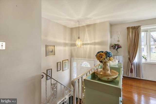 entryway with hardwood / wood-style flooring