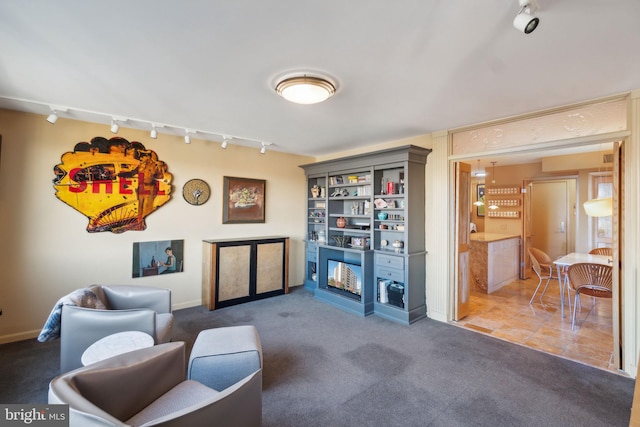 living area featuring rail lighting and dark carpet