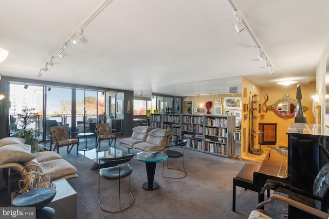 living room featuring a wealth of natural light and rail lighting