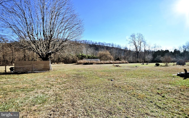 view of yard with a rural view