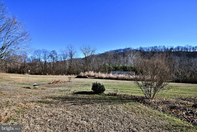 view of yard with a rural view