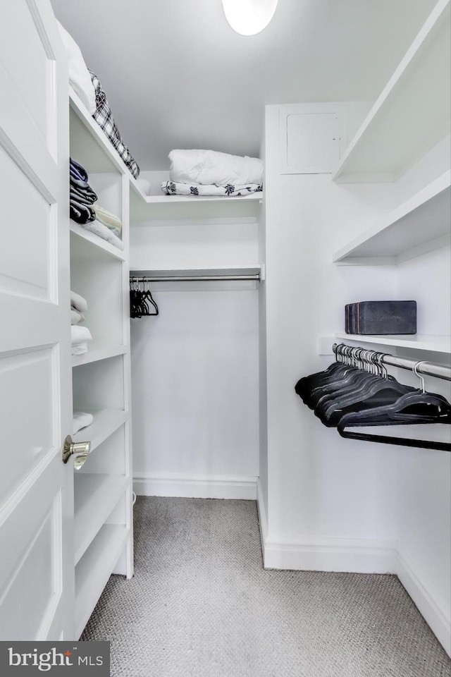 spacious closet featuring light carpet