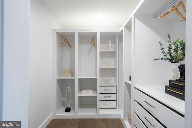 walk in closet with dark wood-type flooring