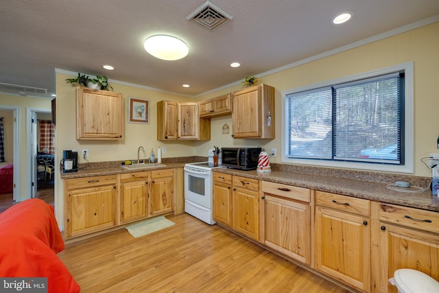 kitchen featuring crown molding, white electric range, sink, and light hardwood / wood-style flooring