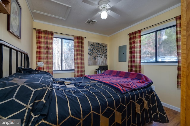 bedroom with multiple windows, ceiling fan, hardwood / wood-style floors, and ornamental molding