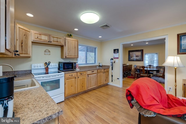 kitchen featuring electric range, sink, light hardwood / wood-style floors, and ornamental molding