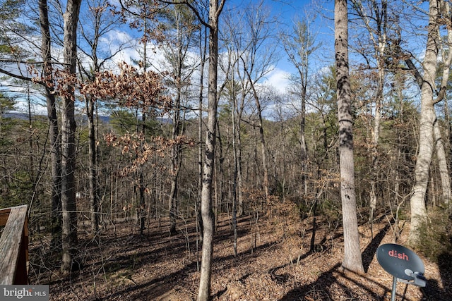 view of local wilderness