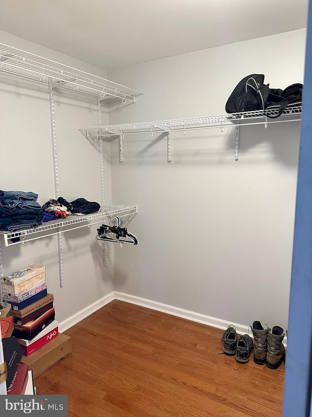 spacious closet with wood-type flooring