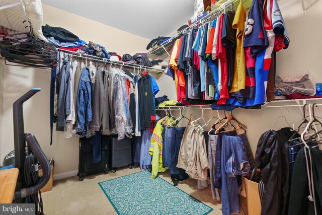 walk in closet featuring carpet flooring