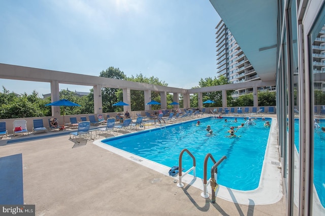 view of swimming pool with a patio