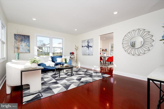 living room featuring hardwood / wood-style flooring