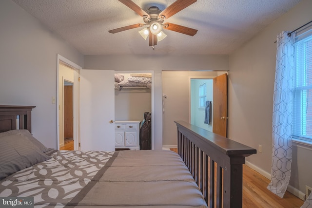 bedroom featuring a walk in closet, light hardwood / wood-style flooring, ceiling fan, a textured ceiling, and a closet