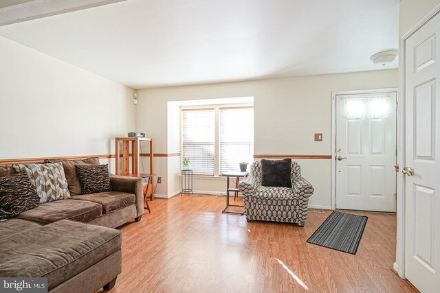 living room featuring light hardwood / wood-style flooring