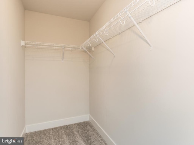 spacious closet with carpet flooring