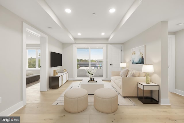 living room with light wood-type flooring