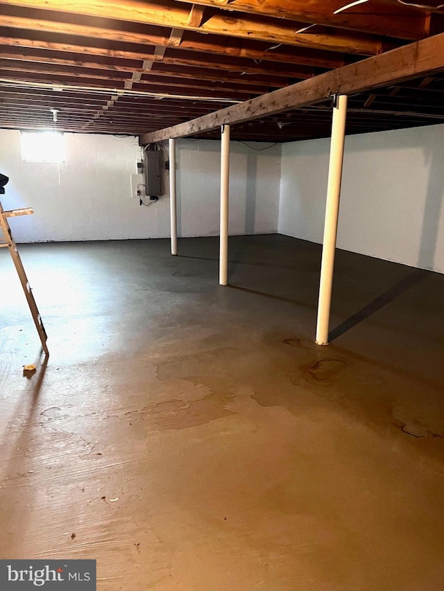 basement with electric panel