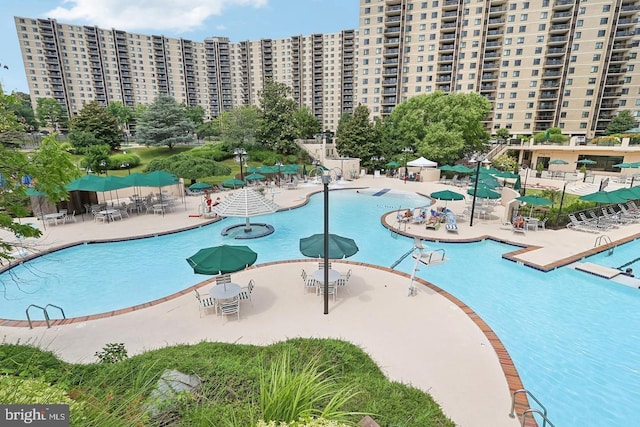 view of pool with a patio area