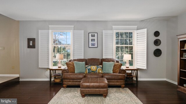 living room with dark wood-type flooring