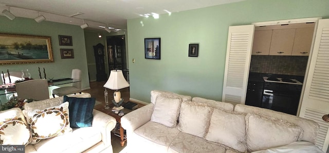 living room with hardwood / wood-style floors and rail lighting